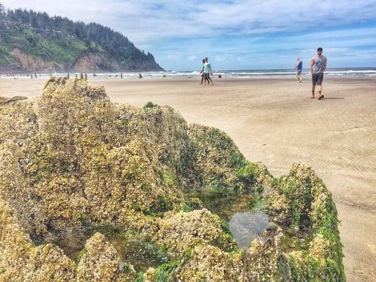 Oregon Coast