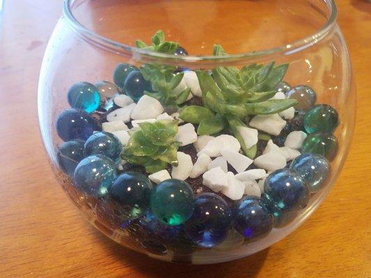 My project stop! Bowl, marbles and pebbles, add plants to make a great gift!