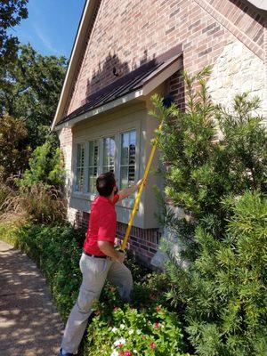 Spider Web and Wasp Nest Removal