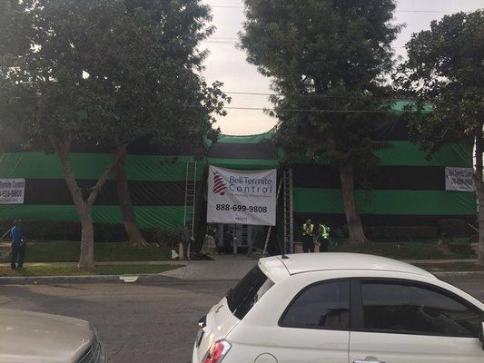 Termite fumigation at multi unit complex in Alhambra, CA.