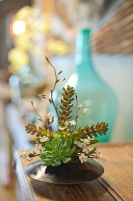 Succulent Arrangement