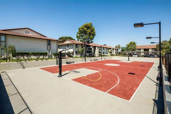 Basketball Court