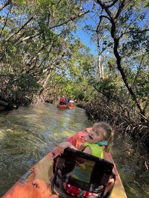 Mangroves