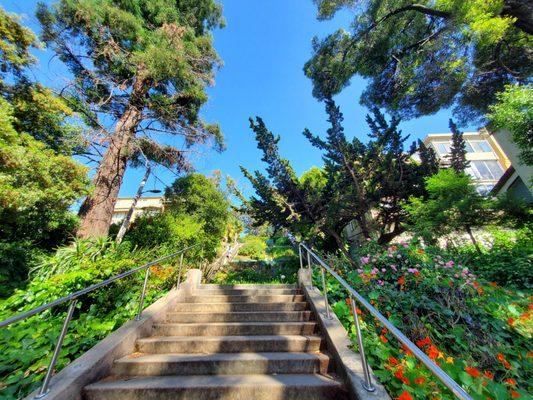 Staircase and surrounding greenery