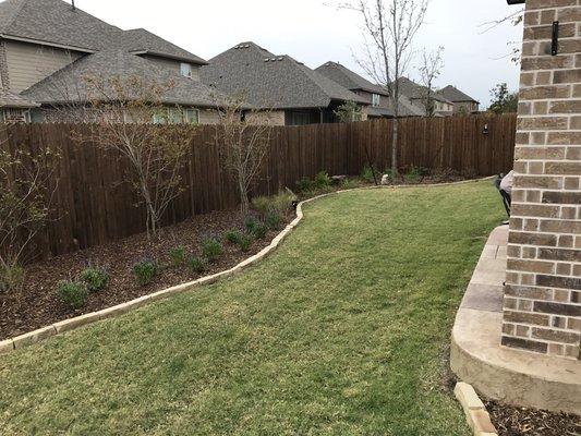 Flowerbeds with crape myrtle and oak tree