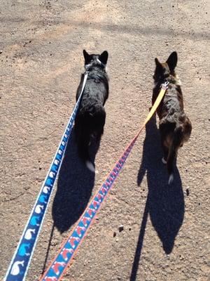 Lucy & Cevin out for a walk