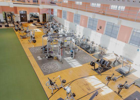 The turf room at the NOAC is expansive and bathed in natural light. It features both cardio and strength training equipment.