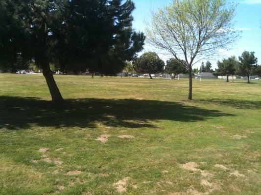 Large grassy area with trees