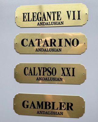 Customize your horse's stall with our classic metal  fancy nameplate. Any Size 2"x7" Email: SRDL9@YAHOO.COM