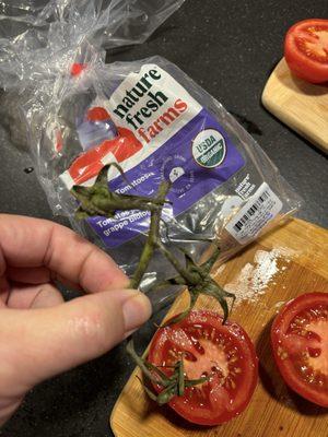 Moldy tomatoes