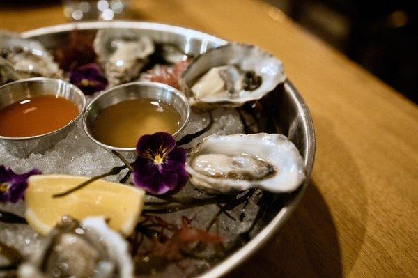 Raw oysters - kumamoto, marin miyago, hood canal