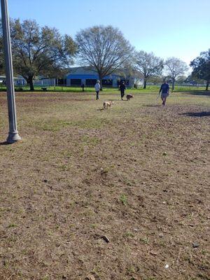 Dog park