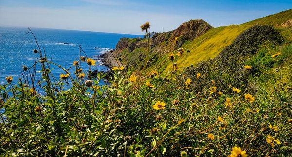 Terranea Cove Sea Cave