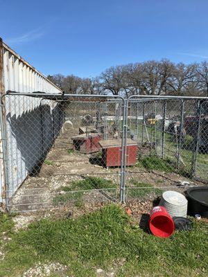 Dog kennels