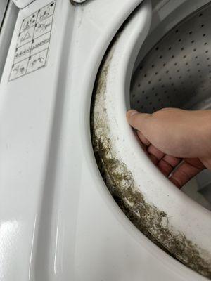 The communal washer