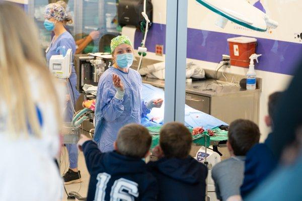 Veterinarian answering questions during live surgery