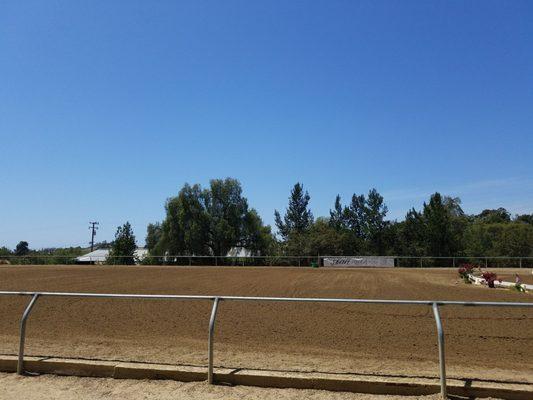 Big arena for equestrian gymnastics.