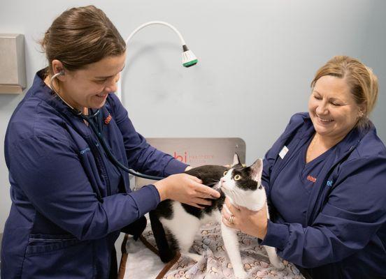 Dr Joyce and Vet Tech Erica love the feline friends!