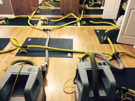 Drying of hardwood floors in place