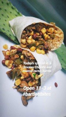 Smokey chipotle roasted cactus burrito