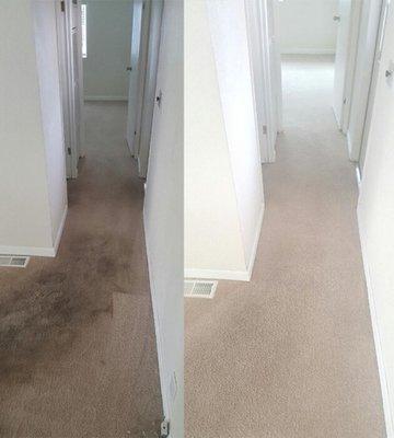 Before and after cleaning.