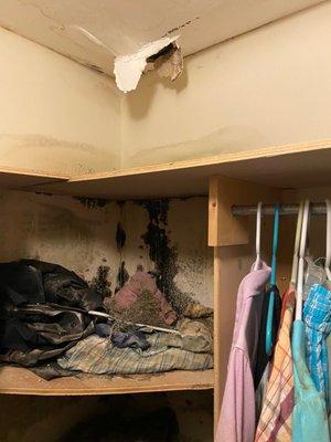 Closet collapsed in. They would not fix it.