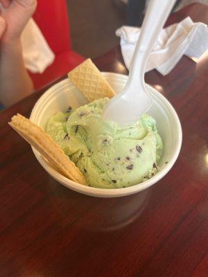 Mint Chocolate Chip Ice Cream