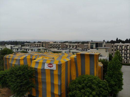 Cal State Fumigation