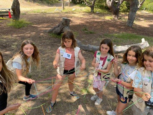 Learning about the food web with the Web of Life