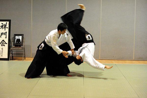 Traditional Aikido