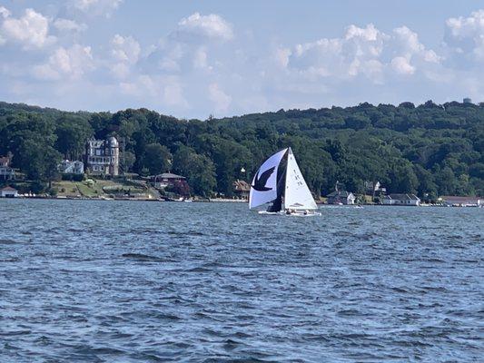 Sailboats on the lake