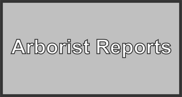 Gives us a call to see if we can provide the type of arborist report you need.