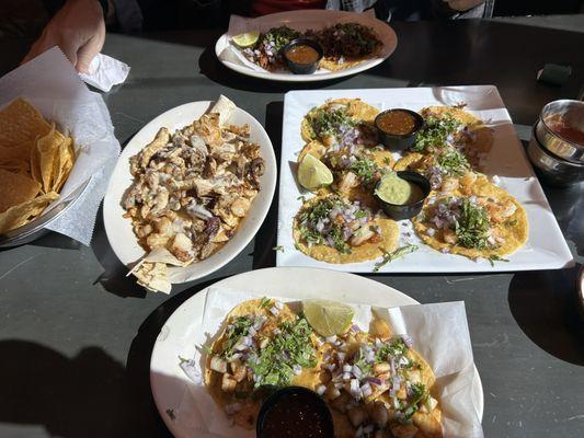 Plaza azteca's tasty tacos ranging from shrimp, tilapia, carne asada (beef), and carnitas (pork) and a queso dip