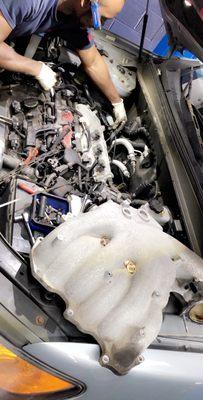 valve cover gasket replacement on a V6 Hyundai 

stop by for a free quote no appointment needed.