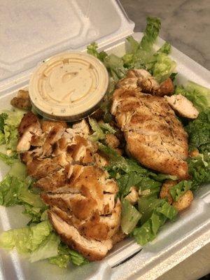 Chicken Cesar salad