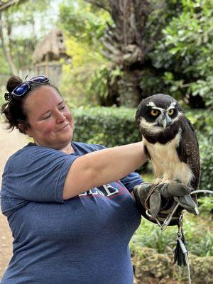 Spectacled owl encounter