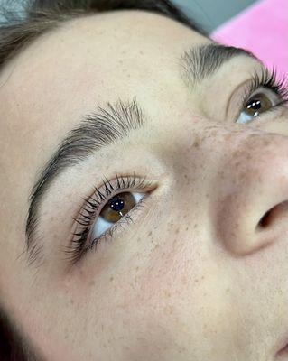 Lash Lift and Tint