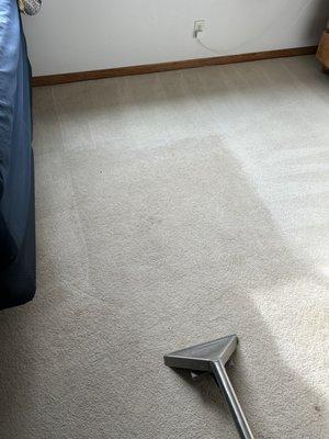 Prestige Steamethod Carpet Cleaning