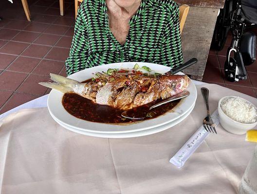 Whole steamed snapper with black bean sauce.