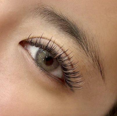 Classic - Japanese Cashmere Light Brown Eyelash Extensions