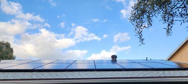 Solar panels in the back of my house.