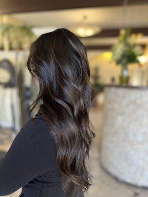 Dark Brown Balayage with Isabel Ngo