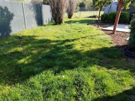 Large area of grass they didn't cut