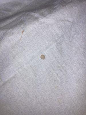 Blood from bed bugs