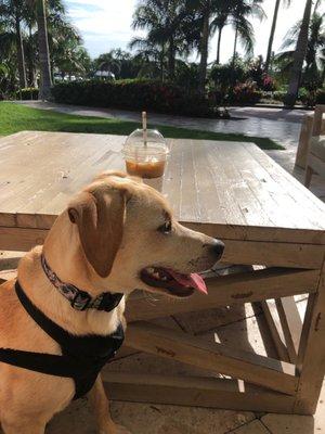 Two of my favorite things, my pup and coffee!