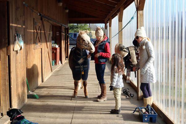 Horsemanship and horse care are all important aspects of learning to ride at Scattered Acres