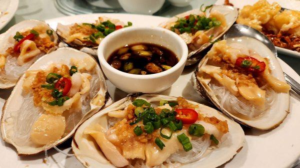 Giant Clams and garlic vermicelli