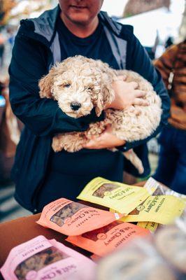 Happy pups at the PetWants booth!