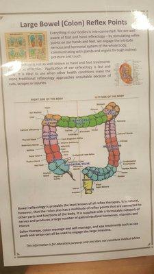 Information Dr. Effie Weir gave me to look at prior to Colonic