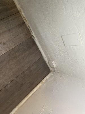 Water damage and mold